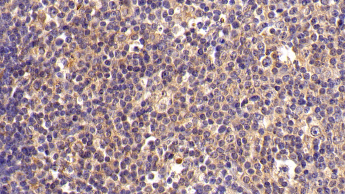 16375