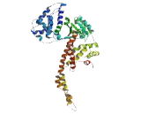 Coiled Coil Domain Containing Protein 157 (CCDC157)
