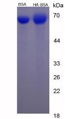 50916