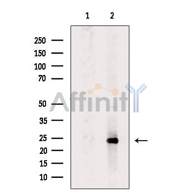 Валидация Affinity DF6713 - 18232