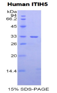 45941