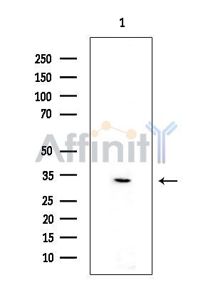 Валидация Affinity DF13825 - 9512
