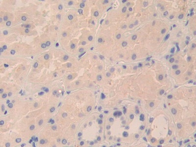 11758