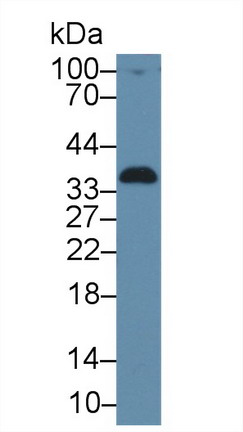 8382