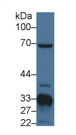14772