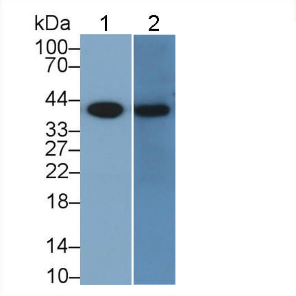 10505