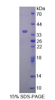59313