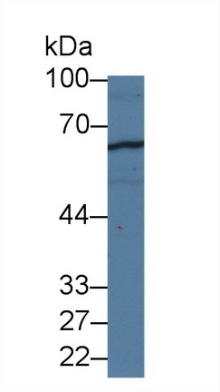 9573