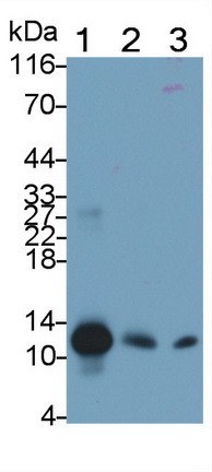 379