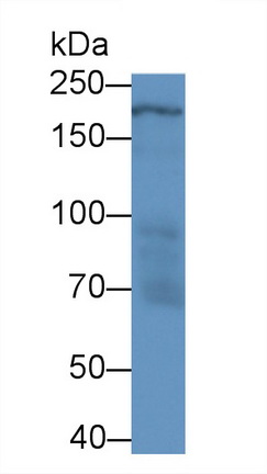 22030