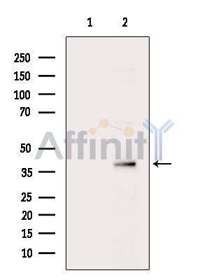 Валидация Affinity DF14412 - 10348