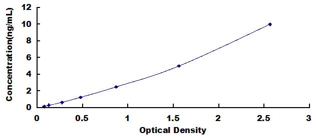 65491