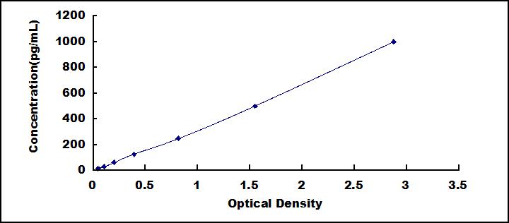62059