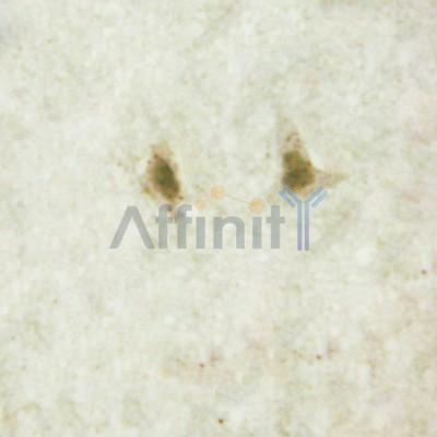 Валидация Affinity DF4108 - 15398
