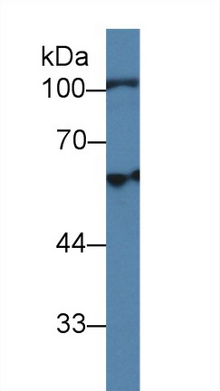 14373