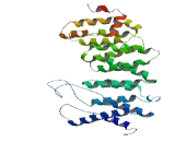 Protein Phosphatase 2, Regulatory Subunit B" Delta (PPP2R5d)