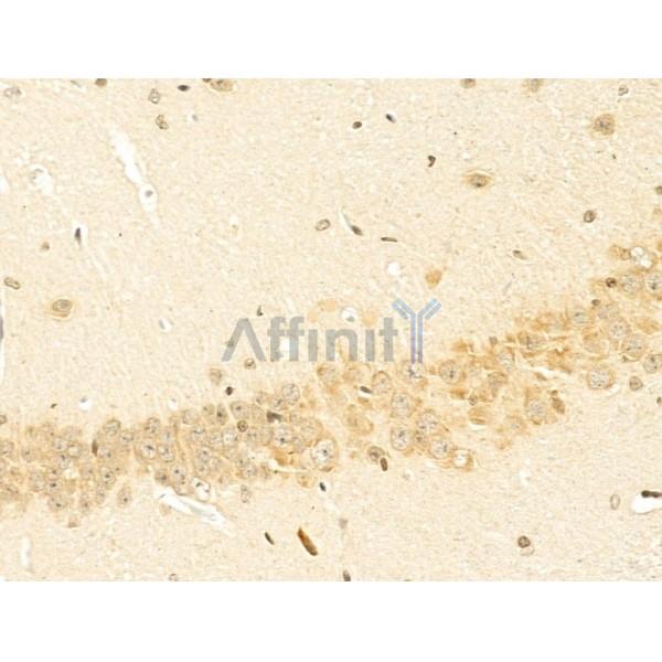 Валидация Affinity DF4233 - 15612