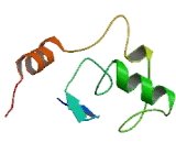 Ring Finger Protein 175 (RNF175)