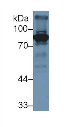 9421