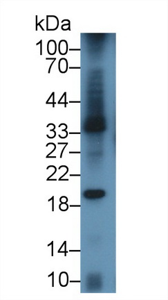 9220