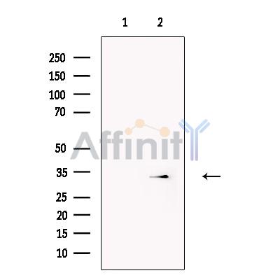 Валидация Affinity DF13319 - 8484