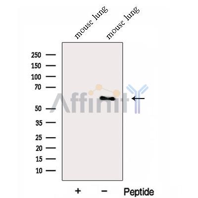 Валидация Affinity DF13018 - 7822