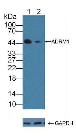 12199