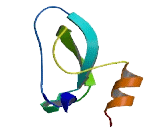 WAP, Follistatin/Kazal, Immunoglobulin, Kunitz And Netrin Domain Containing Protein 1 (WFIKKN1)