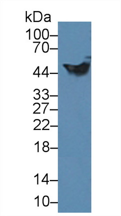 8343