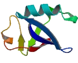 Homocysteine Inducible, Endoplasmic Reticulum Stress Inducible, Ubiquitin Like Domain Member 2 (HERPUD2)