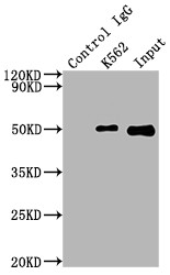 Валидация AssayVector ARM1314(839)