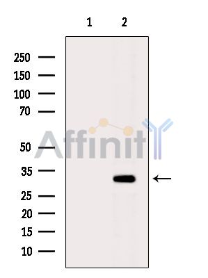 Валидация Affinity DF5101 - 17033