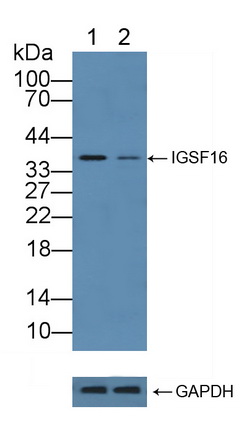 12143