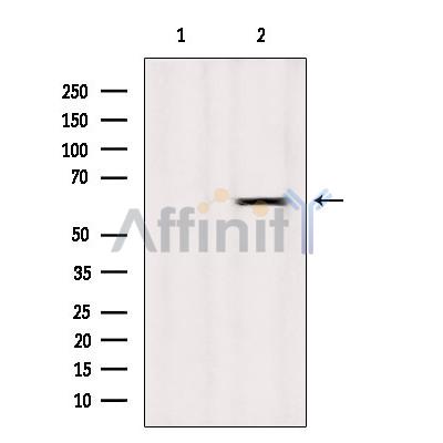 Валидация Affinity DF3041 - 13770