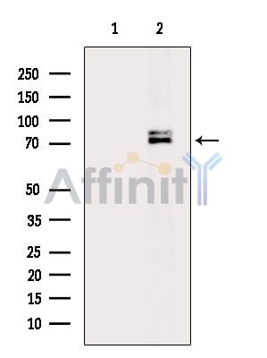 Валидация Affinity DF9684 - 22456
