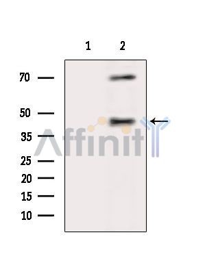 Валидация Affinity DF4068 - 15338