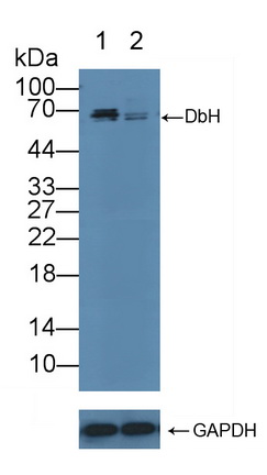12132