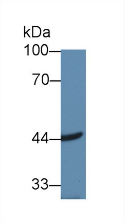 8955