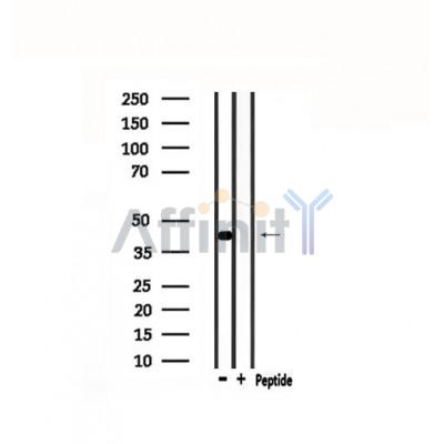 Валидация Affinity DF4771 - 16485