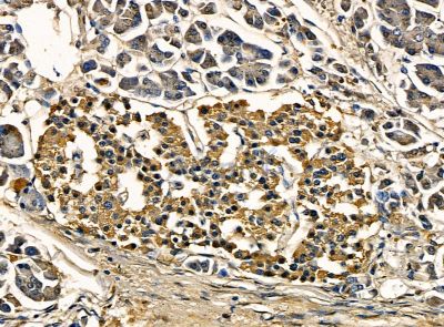 Валидация Affinity DF14186 - 10002