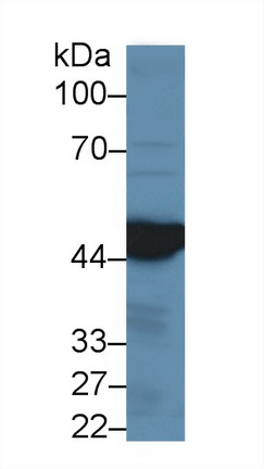13906