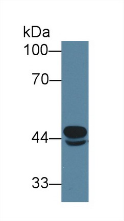 8957