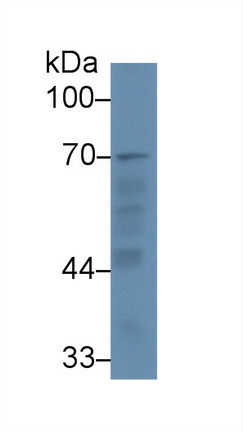 13115
