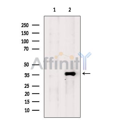 Валидация Affinity DF8476 - 20354