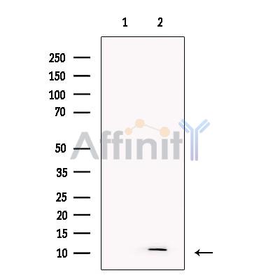 Валидация Affinity DF13361 - 8584