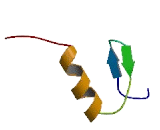 Zinc Finger Protein 558 (ZNF558)