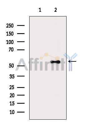 Валидация Affinity DF16104 - 12683