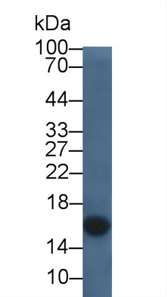 3874