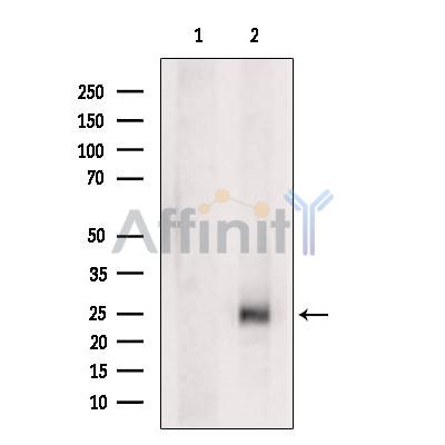 Валидация Affinity DF8709 - 20703