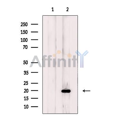 Валидация Affinity DF12300 - 6672